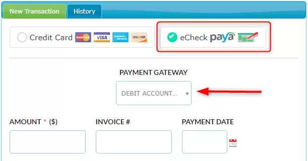 paya online payments
